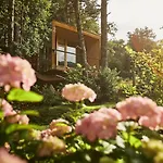 Theodosius Forest Village - Glamping In Valley 4*