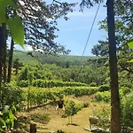 Frühstückspension Theodosius Forest Village - Glamping In Valley