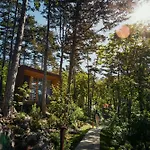 Theodosius Forest Village - Glamping In Valley