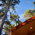 Theodosius Forest Village - Glamping In Valley Отель типа 