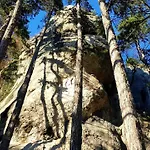 Theodosius Forest Village - Glamping In Valley Frühstückspension