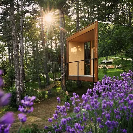 Theodosius Forest Village - Glamping In Valley Bed & Breakfast