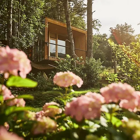 Theodosius Forest Village - Glamping In Valley 4*