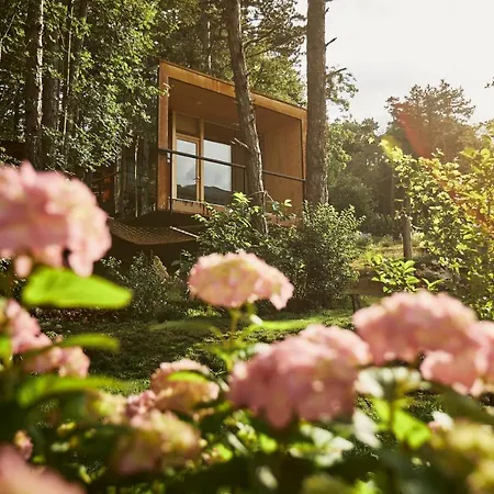 Theodosius Forest Village - Glamping In Valley *