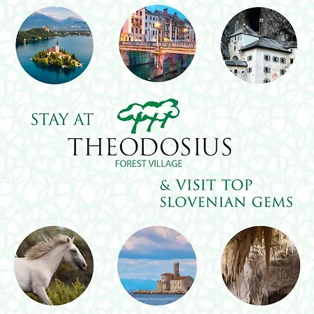 فندق مبيت وإفطار Theodosius Forest Village - Glamping In Valley فيبافا