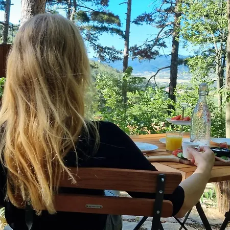 Theodosius Forest Village - Glamping In Valley ベッド・アンド・ブレックファスト