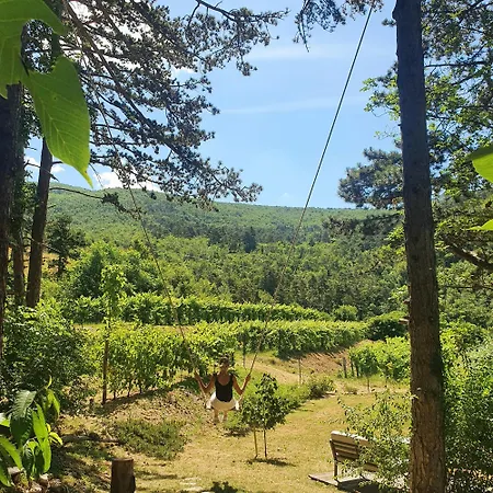 ベッド・アンド・ブレックファスト Theodosius Forest Village - Glamping In Valley