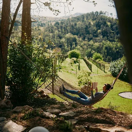 Frühstückspension Theodosius Forest Village - Glamping In Valley Vipava