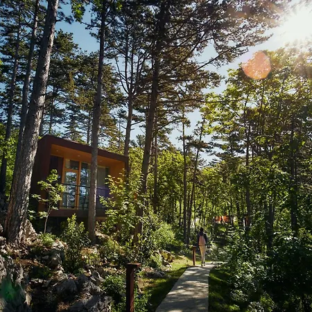 Theodosius Forest Village - Glamping In Valley