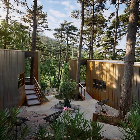 Theodosius Forest Village - Glamping In Valley 4* 维帕瓦