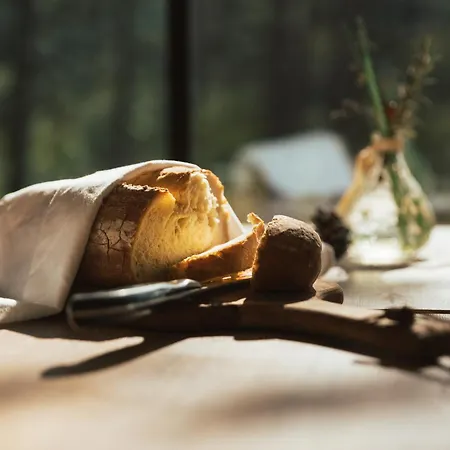 Theodosius Forest Village - Glamping In Valley 4* Випава
