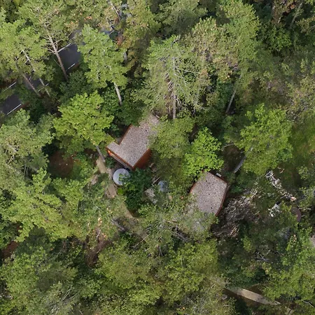 Theodosius Forest Village - Glamping In Valley