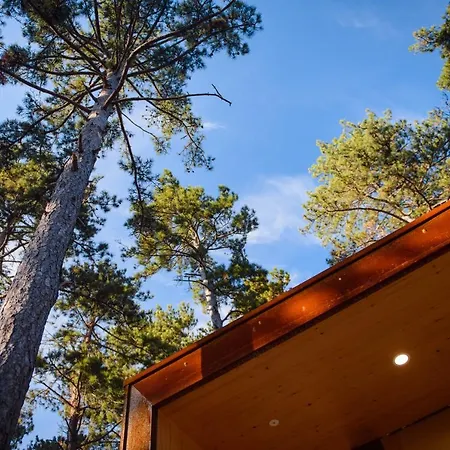 Theodosius Forest Village - Glamping In Valley ベッド・アンド・ブレックファスト *