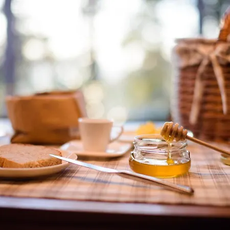 Theodosius Forest Village - Glamping In Valley Bed & Breakfast