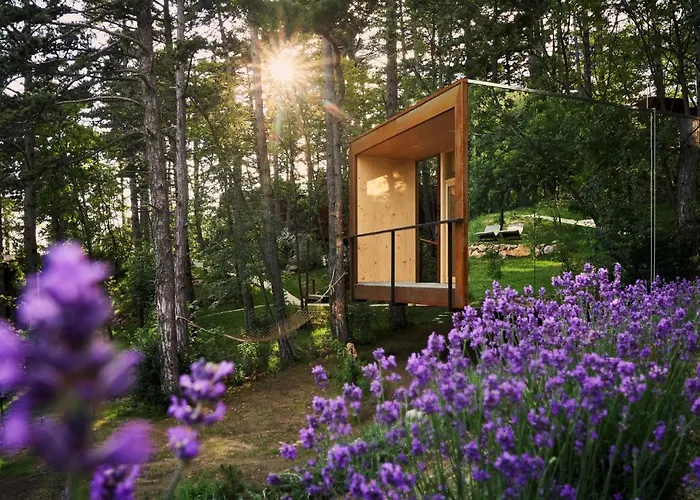 Theodosius Forest Village - Glamping In Valley Bed & Breakfast