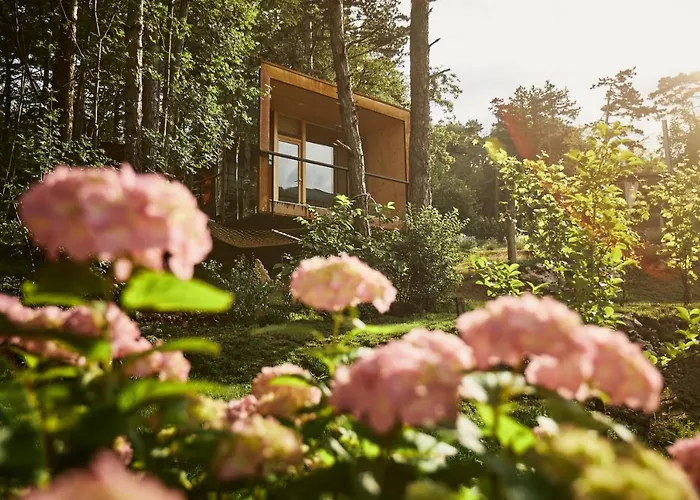 Theodosius Forest Village - Glamping In Valley 4*