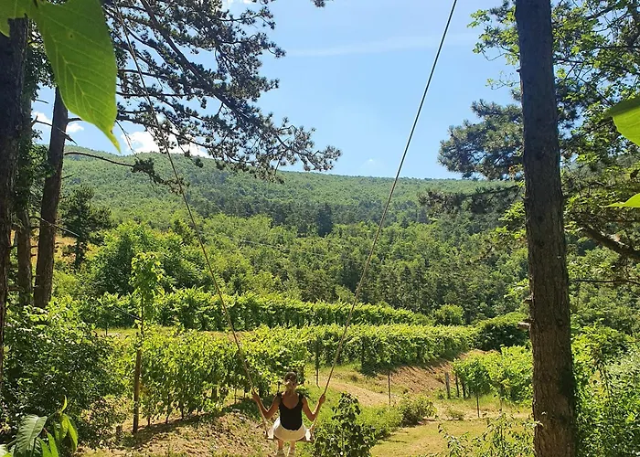 Bed & Breakfast Theodosius Forest Village - Glamping In Valley