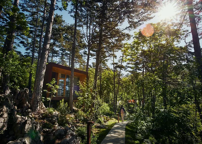 Theodosius Forest Village - Glamping In Valley