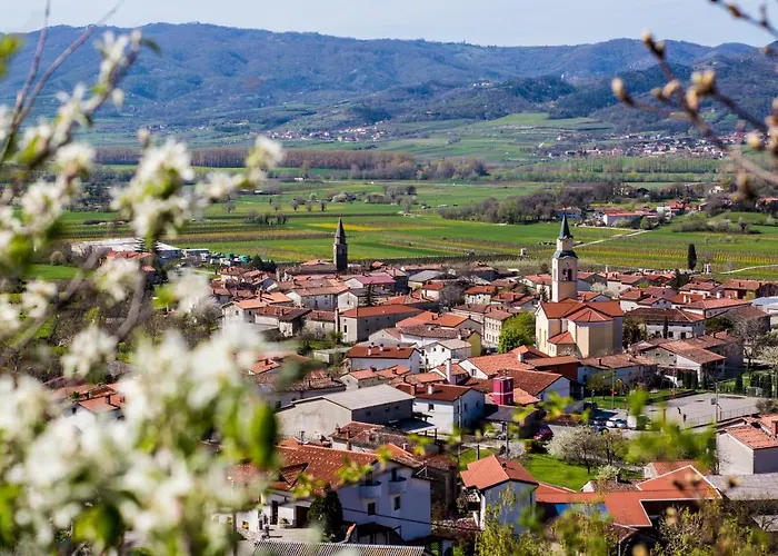 Theodosius Forest Village - Glamping In Valley