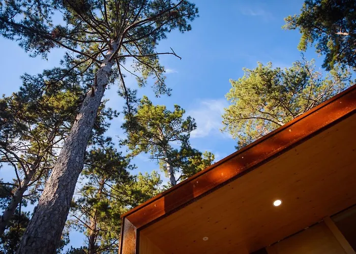 Theodosius Forest Village - Glamping In Valley Couette-café 4*