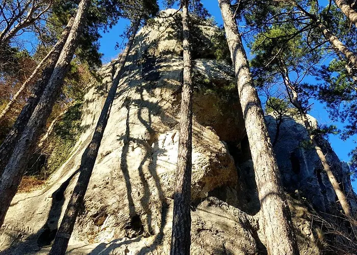 Theodosius Forest Village - Glamping In Valley Couette-café